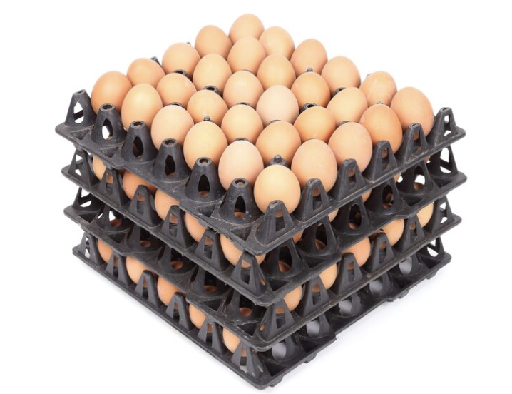 Bulk Eggs Order